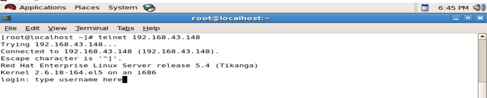 Login on Telnet server on other Linux system.